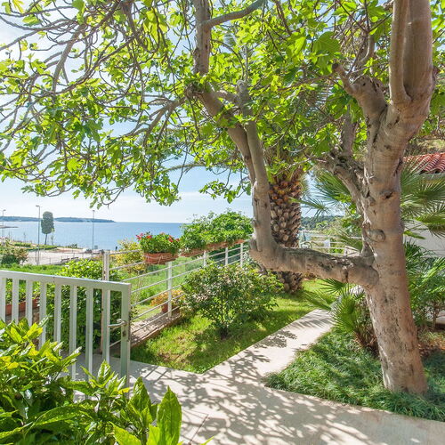 Apartments Petra near beach Pula  2