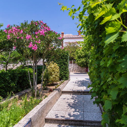 Apartments Nenad Baska  2