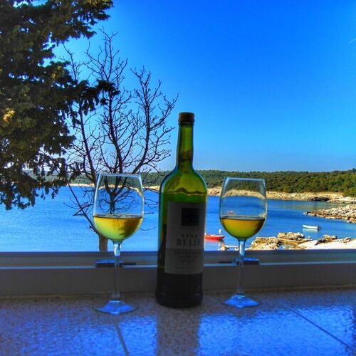 Apartment Rajka Koromačno