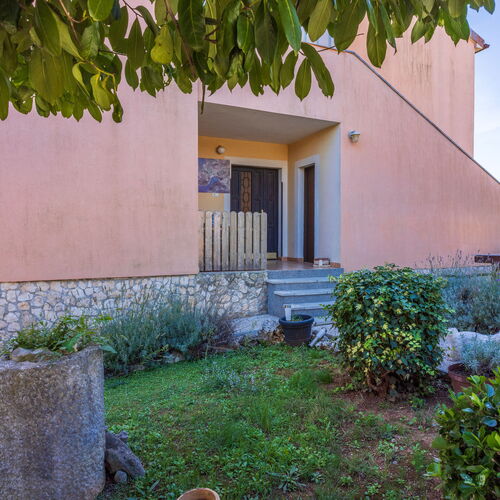 Apartments Davor Banjole  3