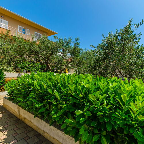 Apartments and Room Maestral Okrug Gornji  3