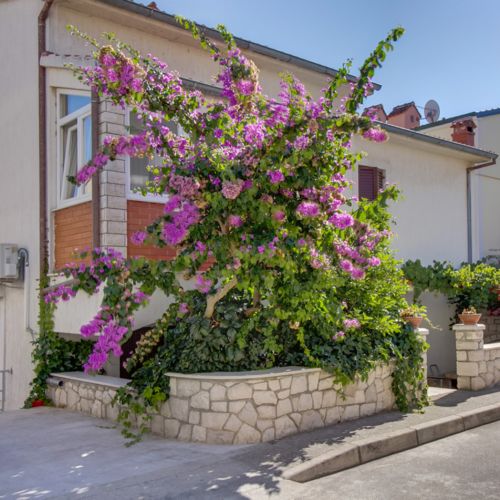 Apartments Suzana Mali Losinj  4