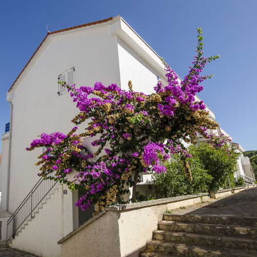 Apartment Tatjana Necujam  2