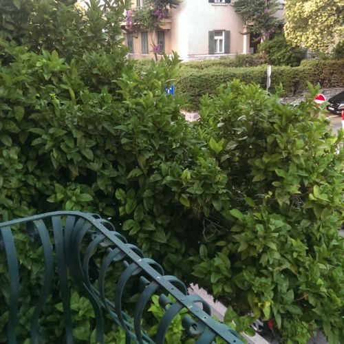 Apartment Marijo Split  3