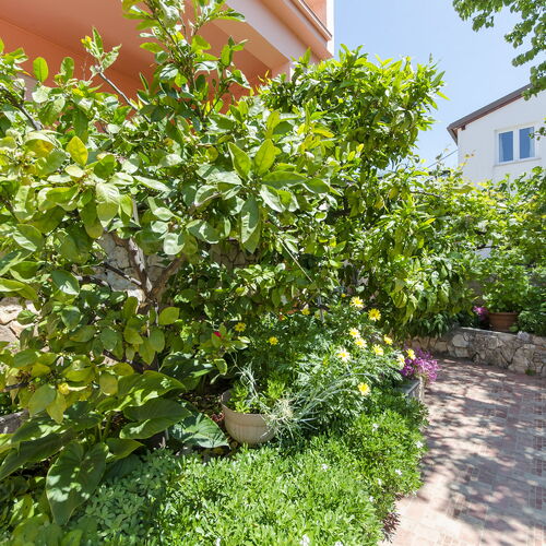 Apartment Marija Brodarica  3