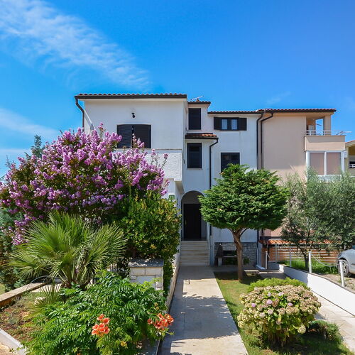 Apartments Dragica Stinjan  2