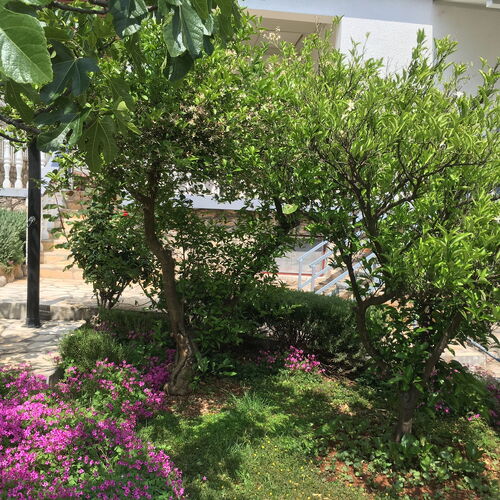 Apartment Vinko Starigrad Paklenica  4