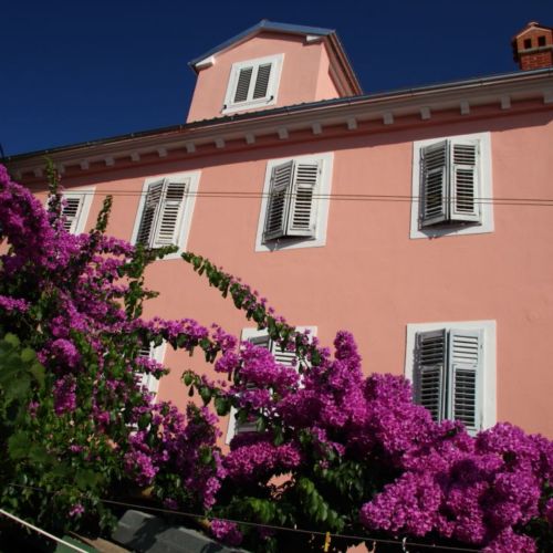 Apartments Ivan Mali Losinj  2