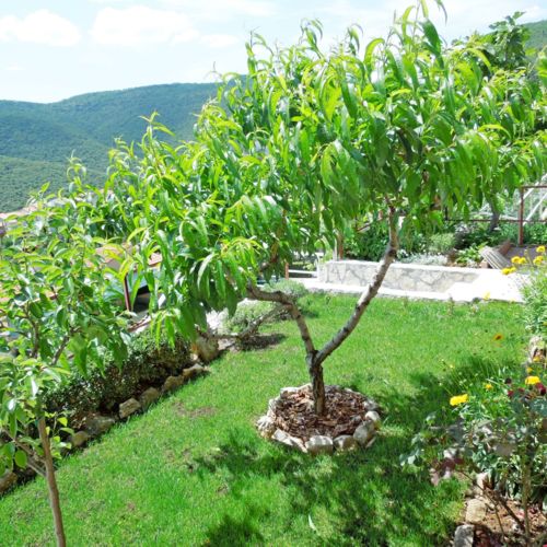 Apartments Elide Rabac  2