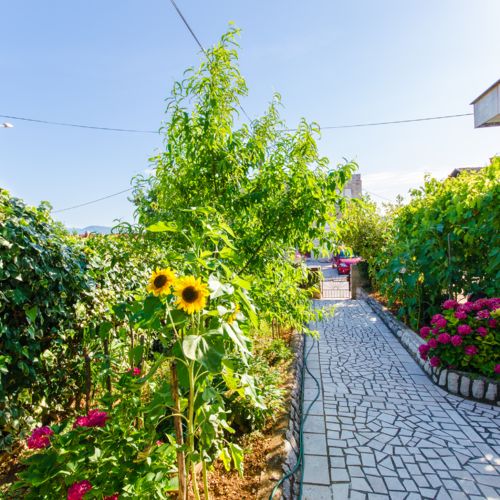Apartments Daria Selce  4