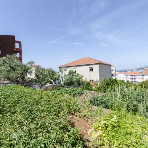 Apartments Marin Trogir  4