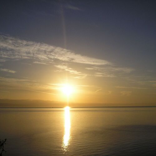 Apartments Zlatko Icici