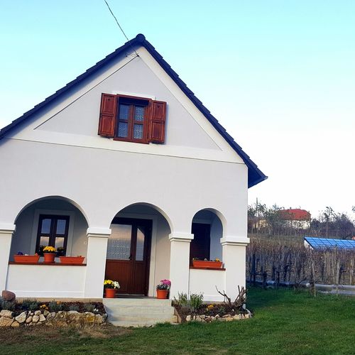 Balaton Felvidéki Fehér Porta Pécsely  3