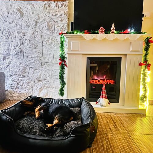 Kutyabar&aacute;t sz&aacute;ll&aacute;sunk