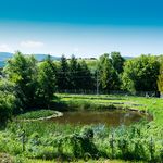 Wellness részleg, relaxáció