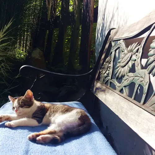 Bej&aacute;ratt&oacute;l balra,a reggeli napf&uuml;rdő helysz&iacute;ne:)