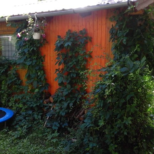 Takaró a Tekerőnek Kerékpáros Apartman Balatonalmádi  4