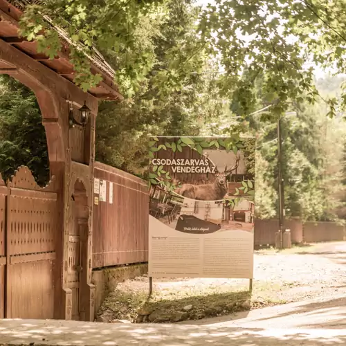 Csodaszarvas Vendégház Sály 031 kép