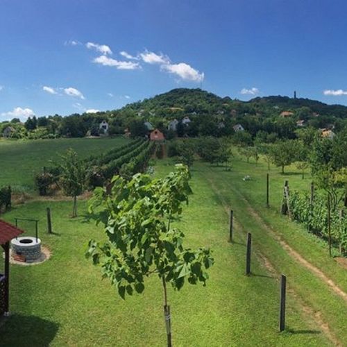 Csodálatos panoráma a szobából