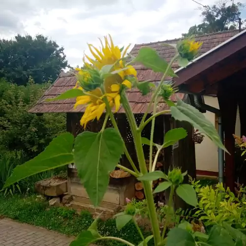 Barabásszegi Vendégház és Turista Pihenőhely Becsvölgye 015 kép