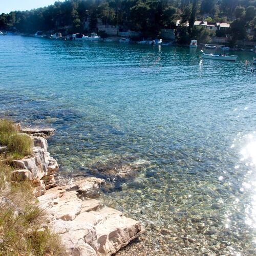 Apartment Deni Milna