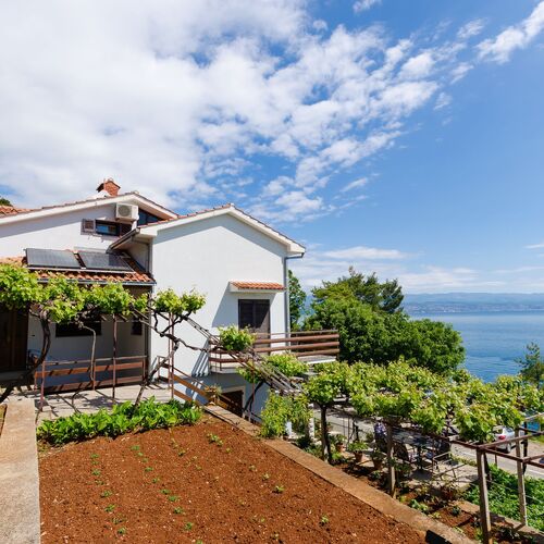 Apartments Milan Medveja