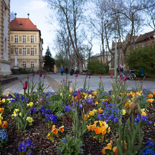 Belvárosi Apartmanszálló Kiskunfélegyháza 011 kép