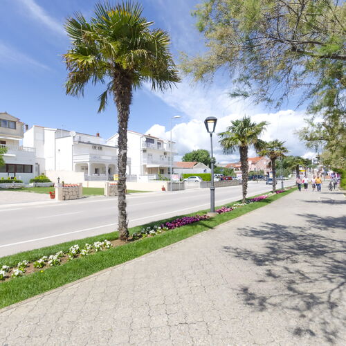 Apartment and Rooms Artina Vodice  3