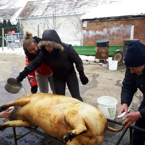 Borostyán Vendégház Petőmihályfa 036 kép