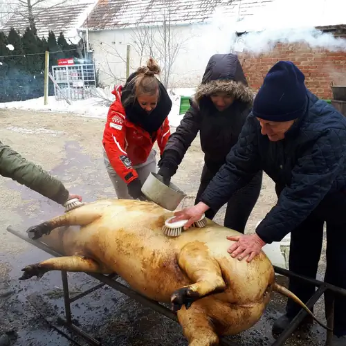Borostyán Vendégház Petőmihályfa 038 kép