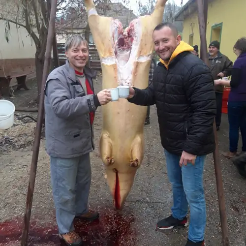 Borostyán Vendégház Petőmihályfa 040 kép