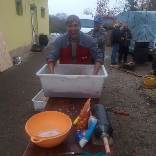 Borostyán Vendégház Petőmihályfa 043 kép