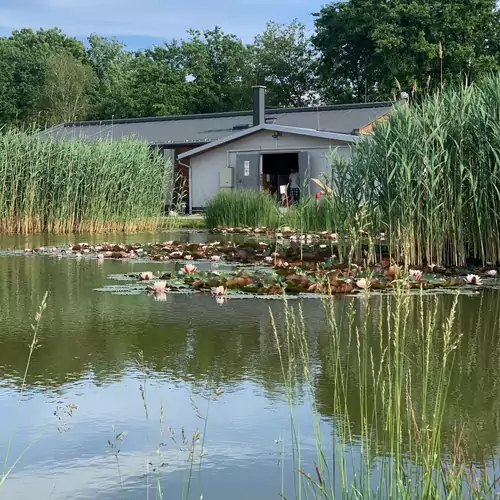 Wellness Vendégház és Lovasklub Mohác 022 kép