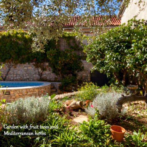 Villa Vicina Milna  3