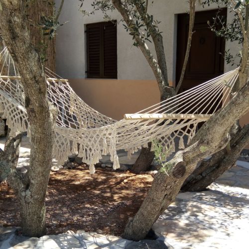Apartments Franica Vela Luka  3