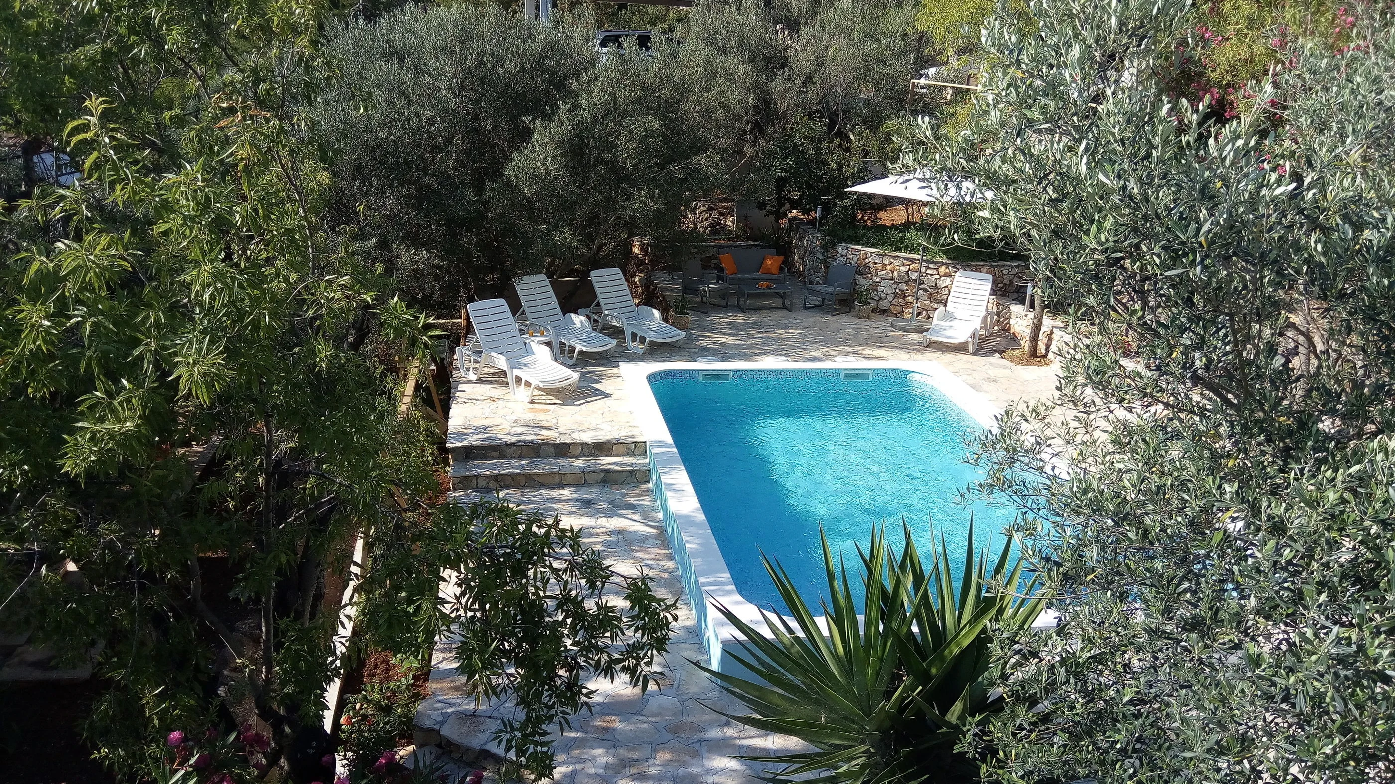 Apartments Franica Vela Luka