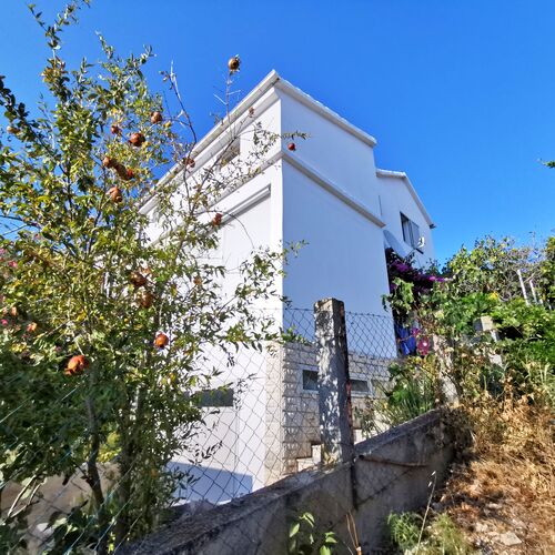 Apartment Ljubica Zavalatica  3
