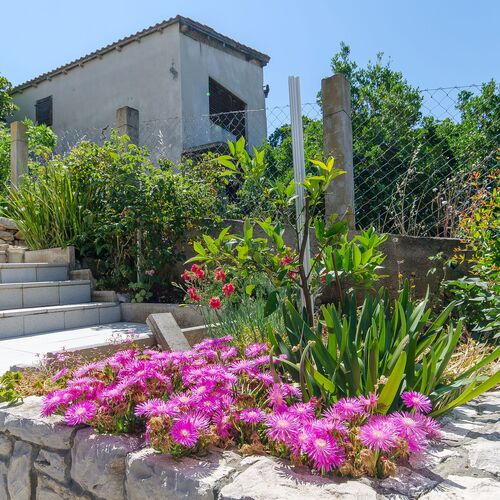 Apartment Ljubica Zavalatica