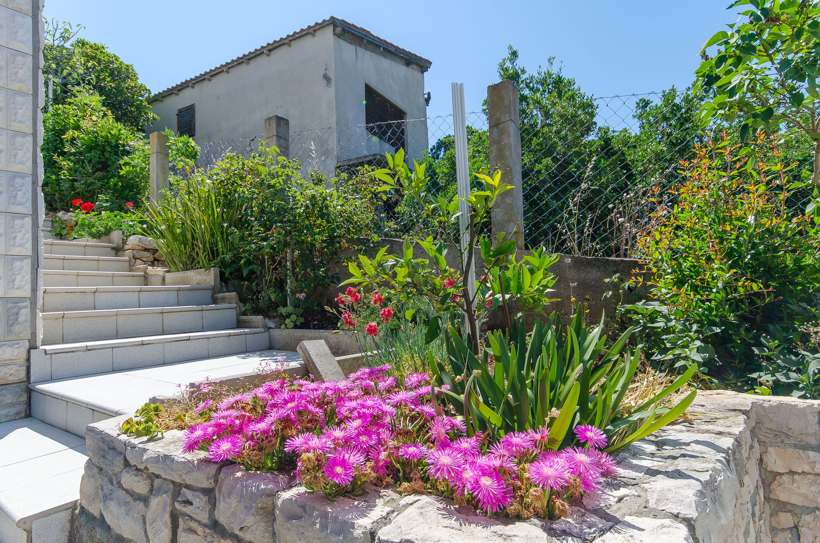 Apartment Ljubica Zavalatica