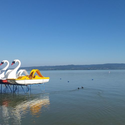 Boglárka és Levente Vízparti Apartmanok Balatonmáriafürdő  4