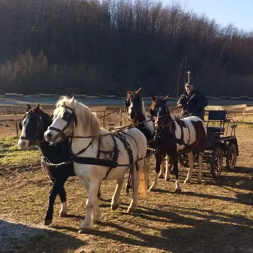 Gadányi Vendégház és Lovarda Komló 008 kép