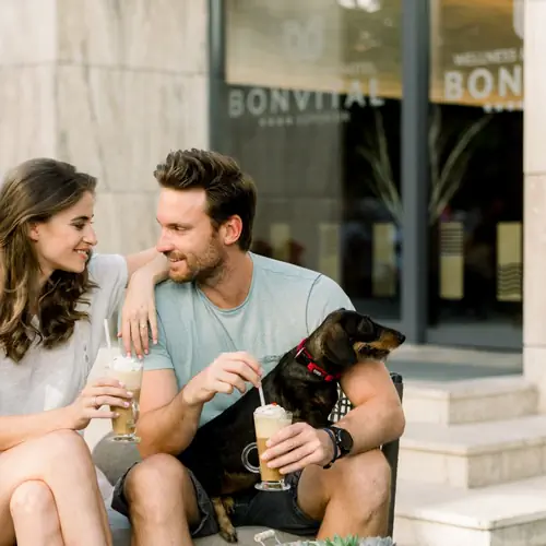 Kutyabar&aacute;t sz&aacute;ll&aacute;shely