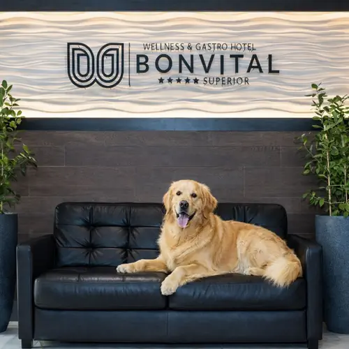 Kutyabar&aacute;t sz&aacute;ll&aacute;shely