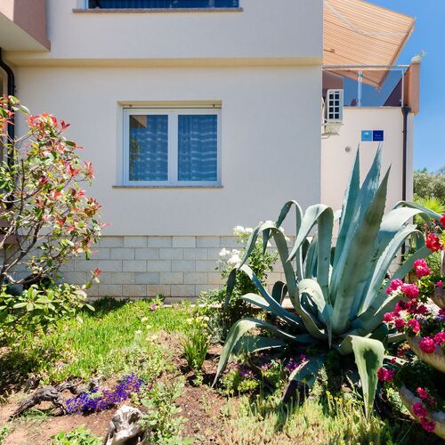 Apartments Miljenko Punat