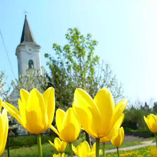 Élő Tisza Vendégház Nagykörű 004 kép