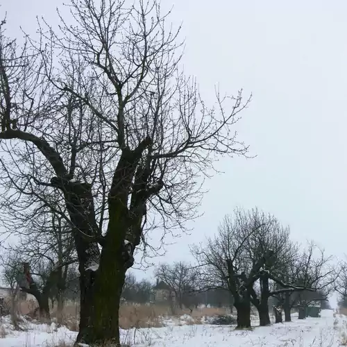 Élő Tisza Vendégház Nagykörű 010 kép