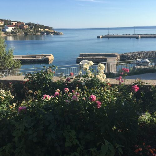 Apartments Suzana Jakisnica