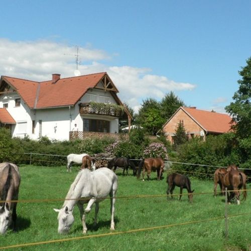 lovakkal