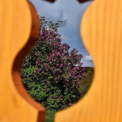 Ker&iacute;t&eacute;s mot&iacute;vum