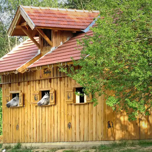 Pagony Pihenő Farm Orfalu 018 kép